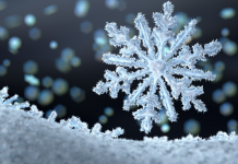 Düşüncenin Su Üzerine Etkisi Düşüncenin Su Üzerine Etkisi