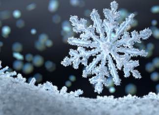 Düşüncenin Su Üzerine Etkisi Düşüncenin Su Üzerine Etkisi